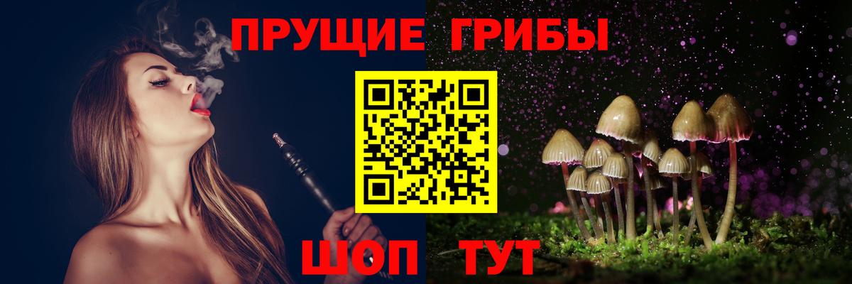 Галлюциногенные грибы ЛСД Каменск-Шахтинский